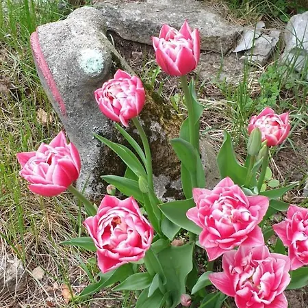 House Near The Sea * Suurupi